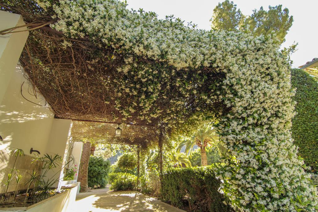 Alfabia Nou Agroturismo Bunyola Bagian luar foto
